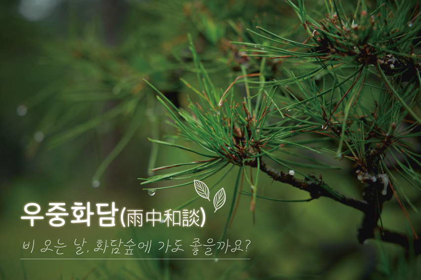 우중화담 : 비 오는 날, 화담숲에 가도 좋을까요?